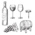 Wine sketch vector illustration. Bottle, glasses, grape vine, barrel, corkscrew, hand drawn isolated design elements. Royalty Free Stock Photo