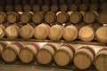 Wine storage barrels - Colchagua Valley - Chile Royalty Free Stock Photo