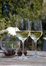 Wine, sunglasses & flowers on wooden patio table