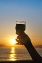 Wine with sunset Royalty Free Stock Photo