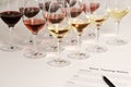 Wine Tasting Royalty Free Stock Photo