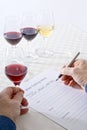 Wine Tasting Royalty Free Stock Photo