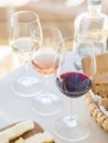 Wine tasting in Alentejo region, Portugal Royalty Free Stock Photo