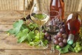 Wine tasting concept. Two glasses of red an white wine, grapes and two bottles of pink Royalty Free Stock Photo