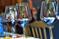 Wine tasting, evaluation of the organoleptic characteristics Royalty Free Stock Photo