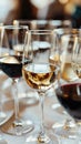 Wine tasting experience with red and white wines in an elegant setting Royalty Free Stock Photo
