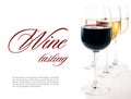 Wine-tasting, a few glasses of red and white wine Royalty Free Stock Photo