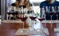 Wine tasting in Langhe italy Royalty Free Stock Photo