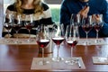 Wine tasting in Langhe italy Royalty Free Stock Photo