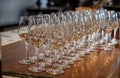 Tasting of Cognac strong alcohol drink in Cognac region, Charente with rows of ripe ready to harvest ugni blanc grape on