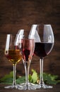 Wine tasting. Red, white, rose and champagne - still and sparkling wines sin glasses on vintage wooden table background Royalty Free Stock Photo