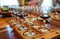 Wine tasting Royalty Free Stock Photo