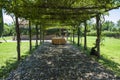 Wine tasting under creeping roses, Tuscany, Italy