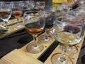 Wine tasting. Variety of wines. Wine glasses with alcoholic beverages