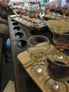 Wine tasting. Variety of wines. Wine glasses with alcoholic beverages.