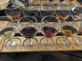 Wine tasting. Variety of wines. Wine glasses with alcoholic beverages.