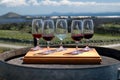 Wine Tasting - Vineyard Royalty Free Stock Photo