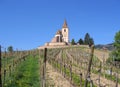 Wine trail french vineyard old church alsace france Royalty Free Stock Photo