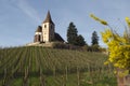 Wine trail leading to an old French church Royalty Free Stock Photo