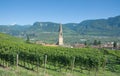 Wine Village of Tramin, south Tyrolean Wine Route, Italy