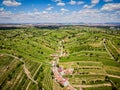 Wine village and vineyard with white wine