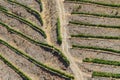 vineyard fromabove Royalty Free Stock Photo