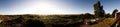 A wine vineyard near Punta del Este. Uruguay, South America