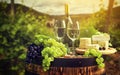 Wine and vineyard in sunset Royalty Free Stock Photo