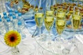 Wine, water, snacks and flower Royalty Free Stock Photo