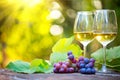 Wine. White Wine in wineglass. Romantic Dinner Outdoor. Wine tasting. Couple wine glasses and grapes close-up. Outdoors Royalty Free Stock Photo