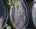 Wine wood barrels