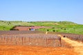 Wine Yard, Israel