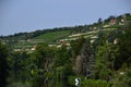 Wine Yard at the River Unstrut in the Old Town of Freyburg, Saxony - Anhalt Royalty Free Stock Photo