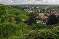 Wine yards and Schriesheim town Royalty Free Stock Photo