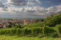 Wine yards and Schriesheim town Royalty Free Stock Photo
