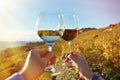 Wineglases in the hands Royalty Free Stock Photo