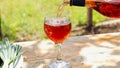 Wineglass. bottle red drink nature summer