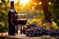 Wineglass and bottle of red wine on vineyard background, Two glasses of red wine and a bottle in the vineyard with grapes, AI Royalty Free Stock Photo