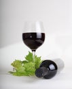 Wineglass, bottle of wine and grapes leaf Royalty Free Stock Photo