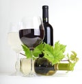 Wineglass, bottle of wine and leaf