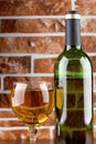 Wineglass on brick wall Royalty Free Stock Photo