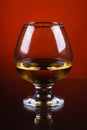 Wineglass of cognac on a red gradient background