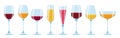 Wineglass different types glass set glasses for light red white sparkling wine champagne beverages