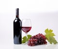 Wineglass with dry red wine, wine bottle, fresh grape vine on glossy white surface. Royalty Free Stock Photo