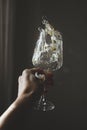 Wineglass with fresh chamomiles flowers and beautiful water splashes in hand Royalty Free Stock Photo