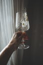 Wineglass with fresh chamomiles flowers and water splashes in hand on dark background Royalty Free Stock Photo