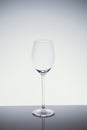 WIneglass on the light background in light cold toning