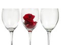 Wineglass with rose flower