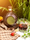 Wineglass and traditional round bottle. Royalty Free Stock Photo