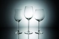 Wineglasses varieties Royalty Free Stock Photo